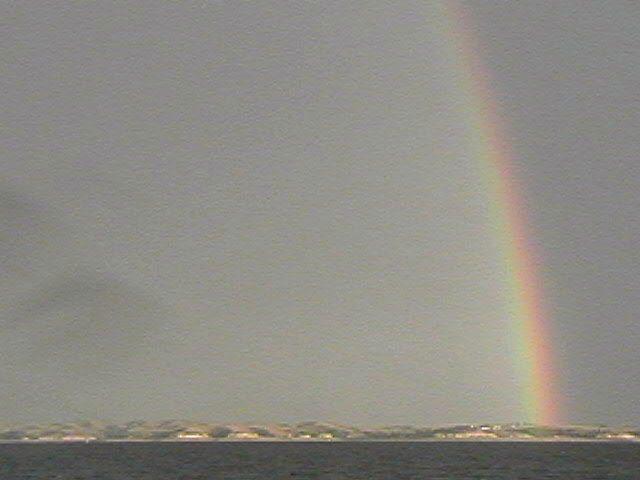 click to see full size