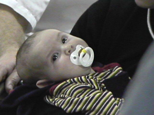 click to see full size