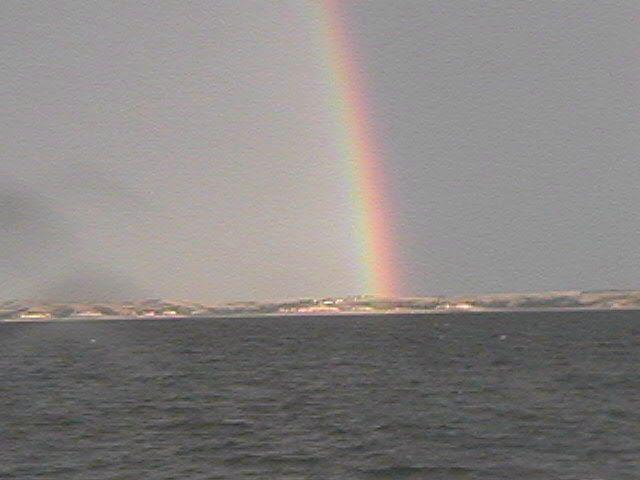 click to see full size