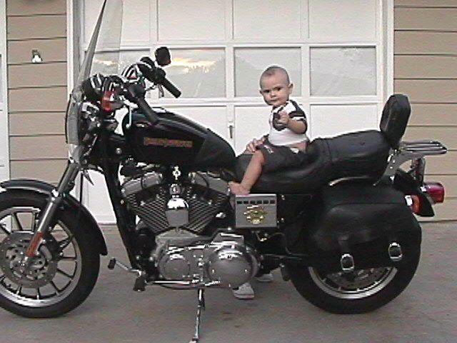 click to see full size