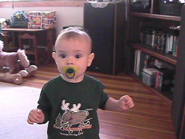 click to see full size