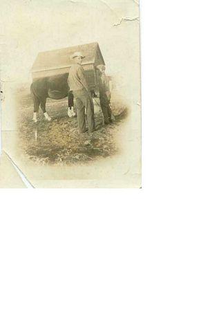 click to see full size