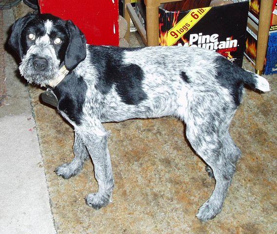 click to see full size