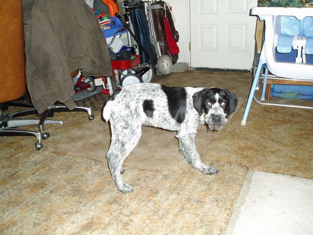 click to see full size