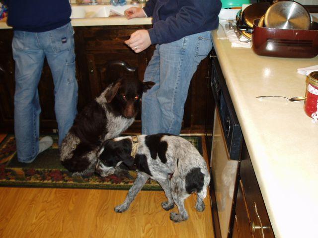 click to see full size