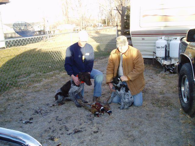 click to see full size