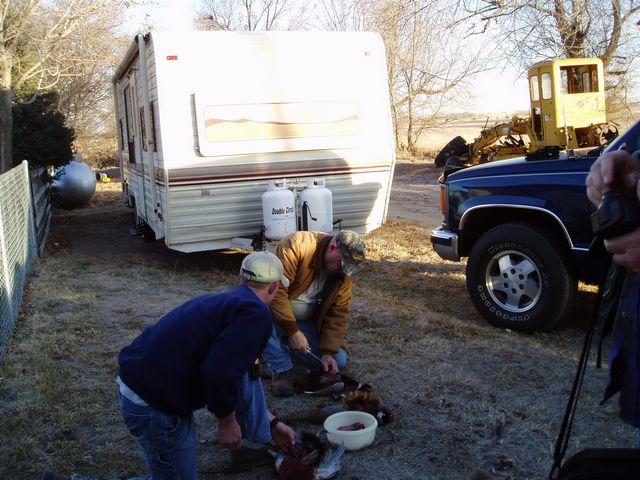 click to see full size