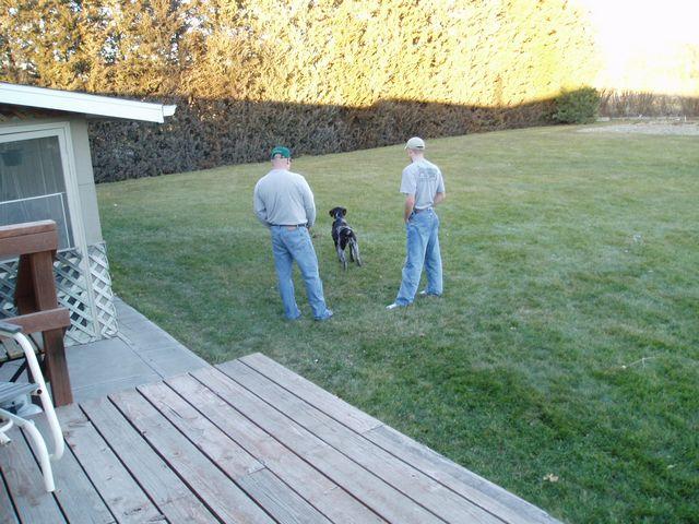 click to see full size