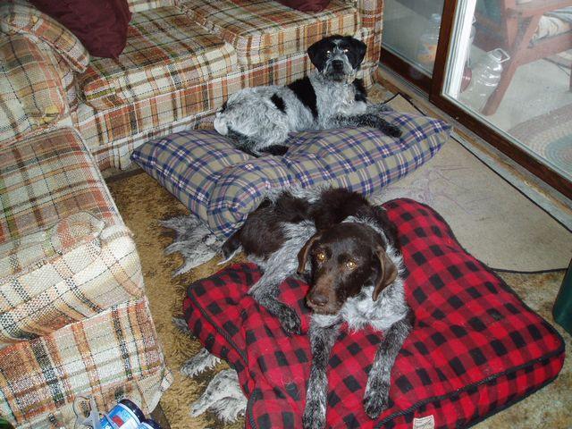 click to see full size