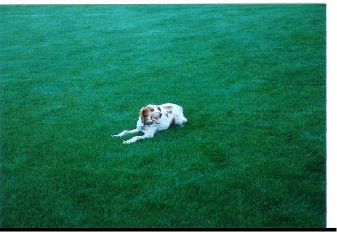 click to see full size