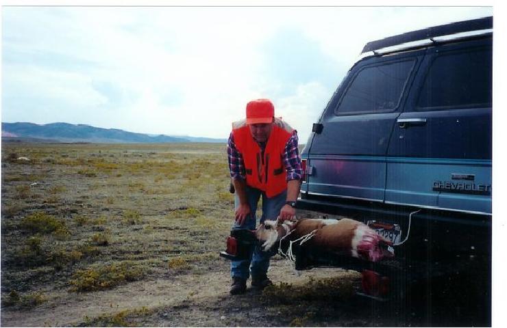 click to see full size