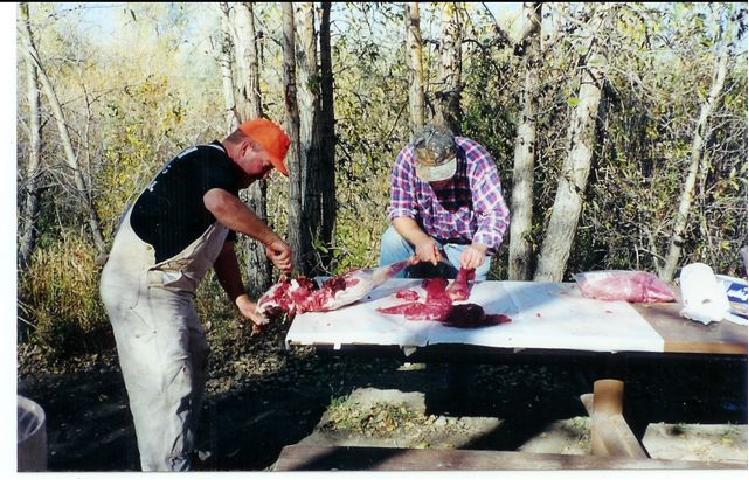 click to see full size