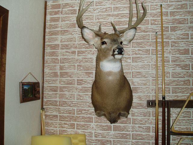 click to see full size