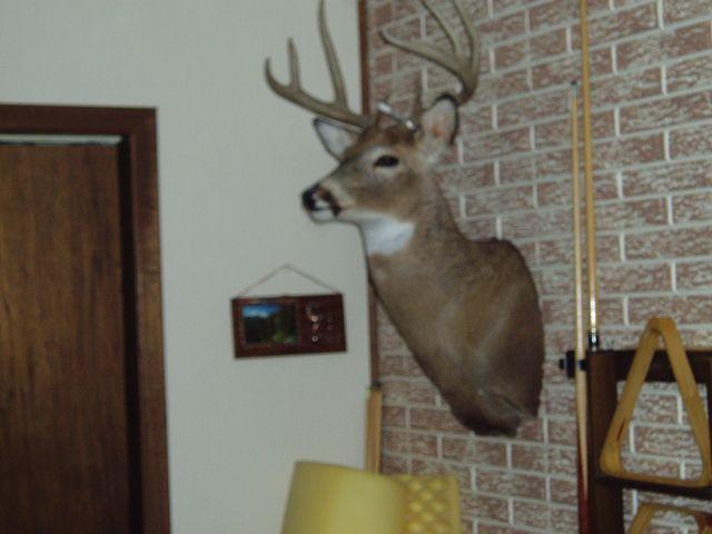 click to see full size