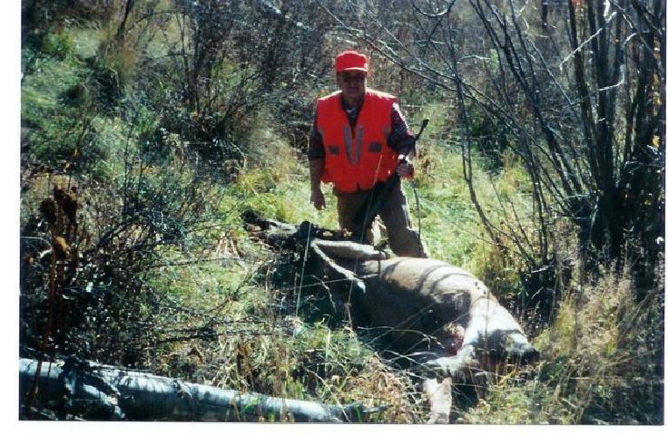 click to see full size