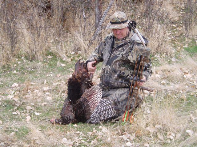 click to see full size