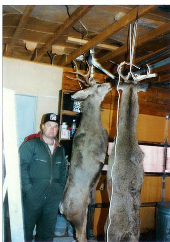 click to see full size