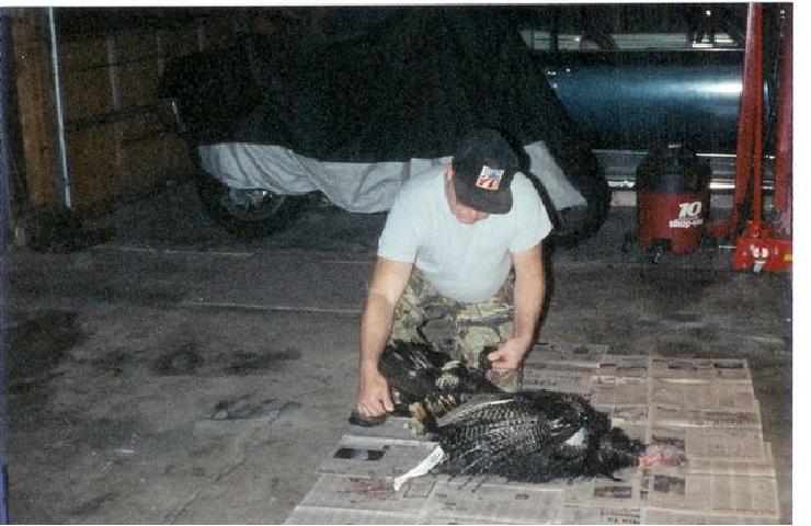 click to see full size