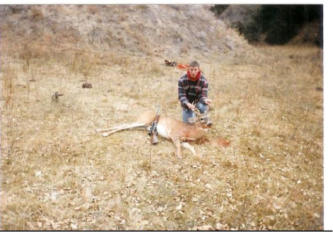 click to see full size