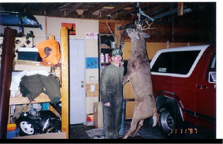 click to see full size