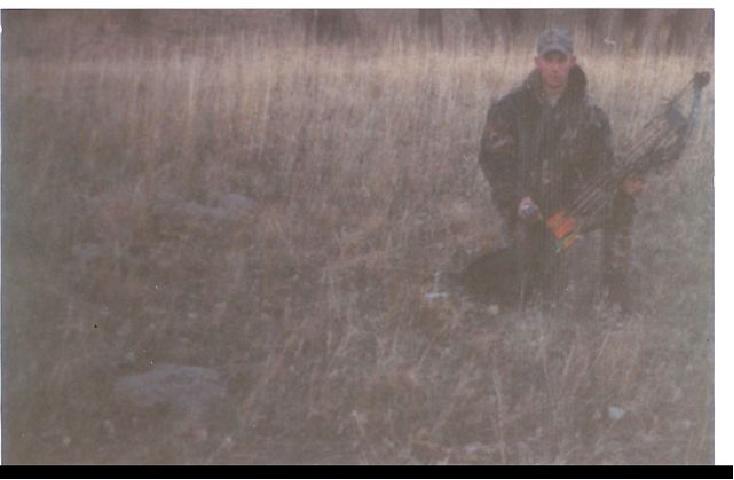 click to see full size