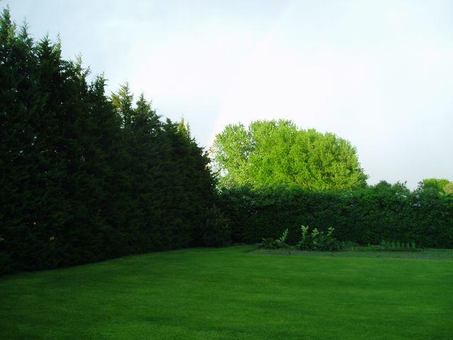 click to see full size