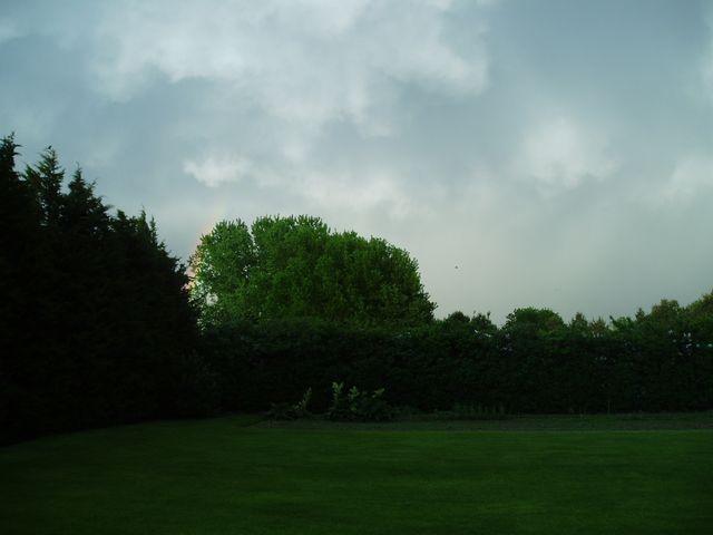 click to see full size