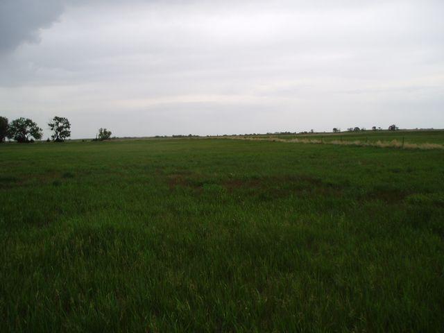 click to see full size