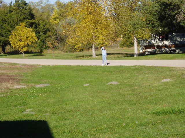 click to see full size