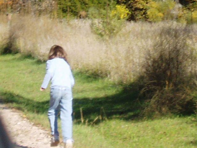 click to see full size