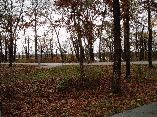 click to see full size