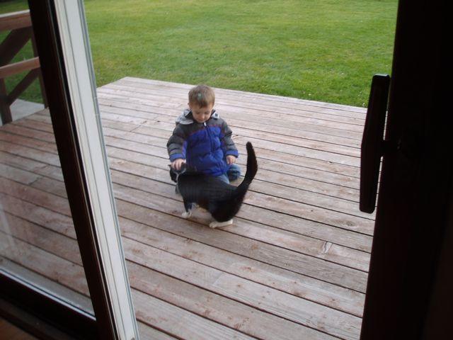 click to see full size