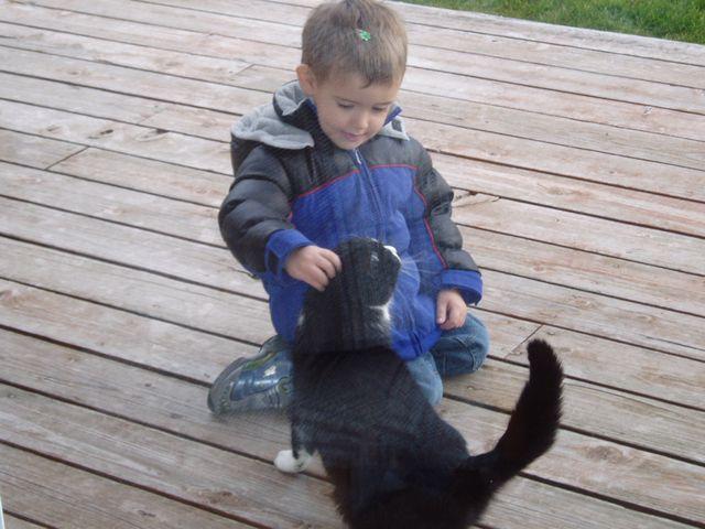 click to see full size