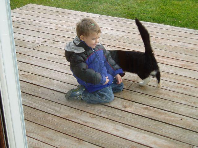 click to see full size