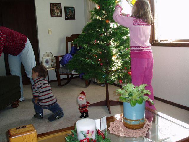 click to see full size