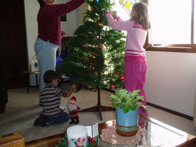 click to see full size