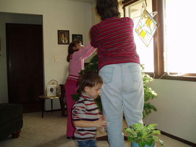 click to see full size