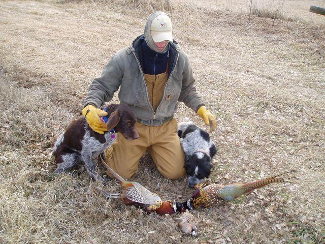 click to see full size