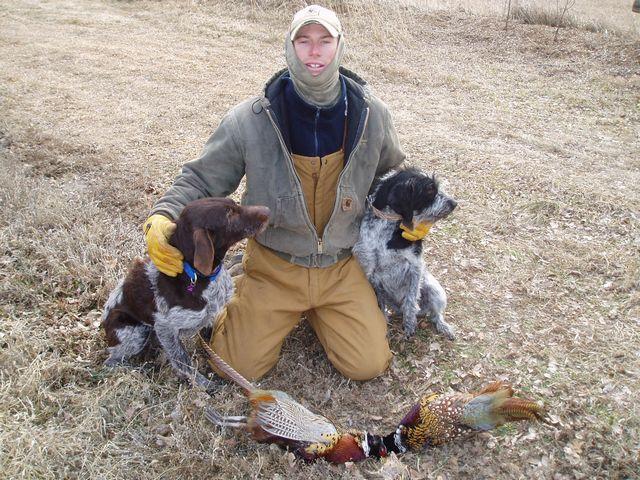 click to see full size