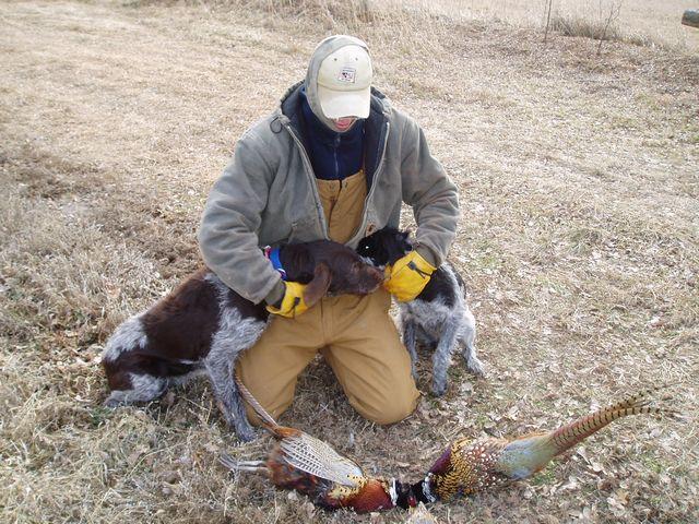 click to see full size