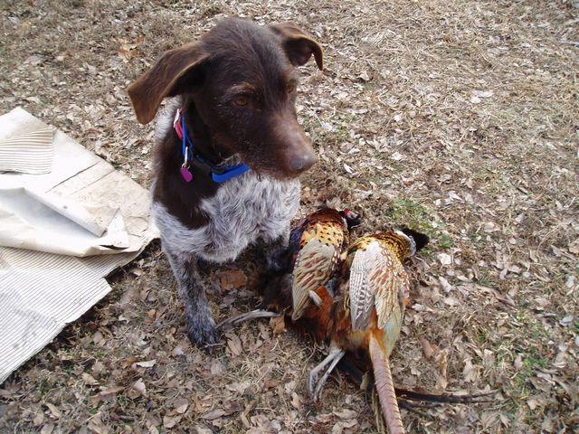 click to see full size