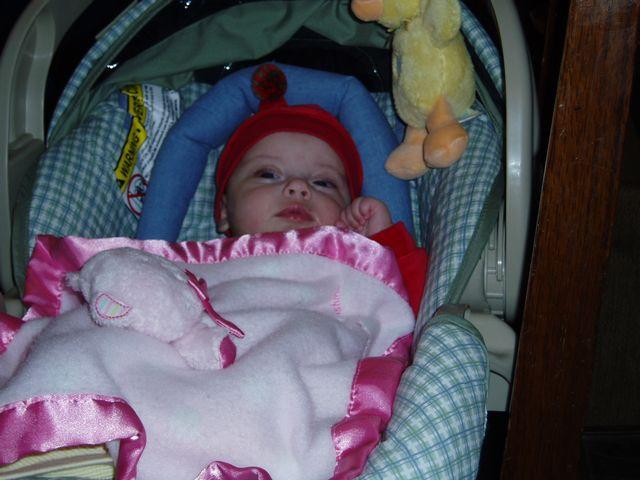 click to see full size