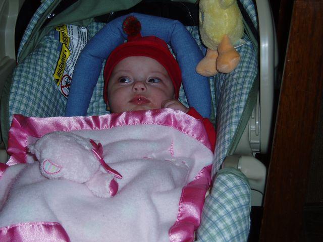 click to see full size