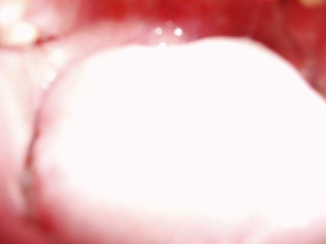 click to see full size