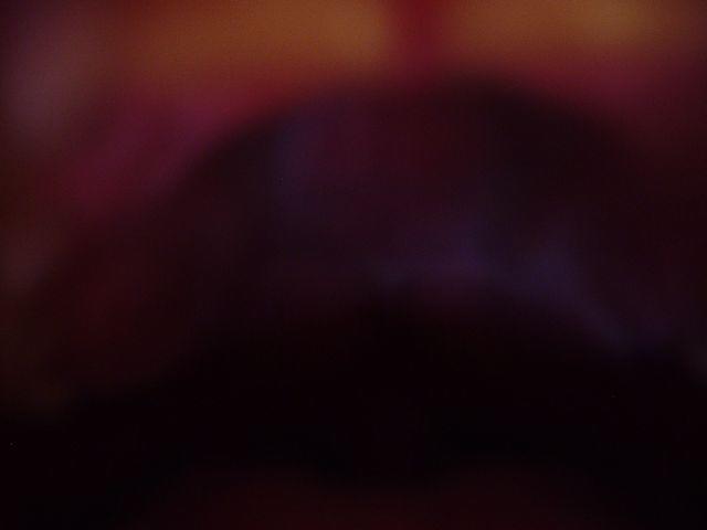 click to see full size