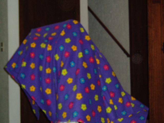 click to see full size