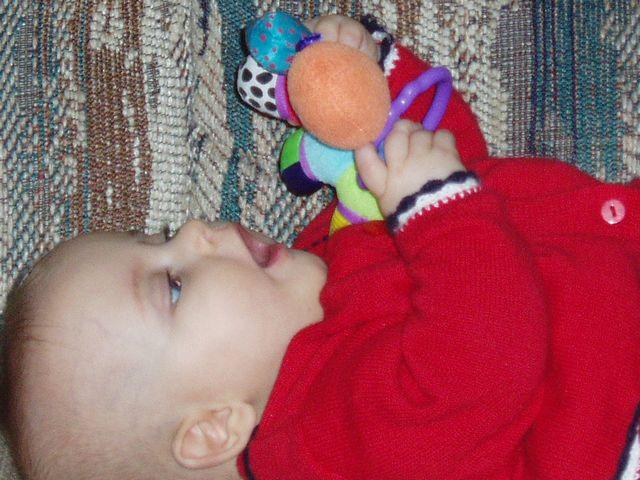 click to see full size