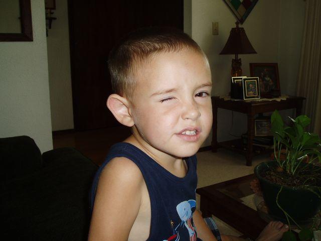 click to see full size