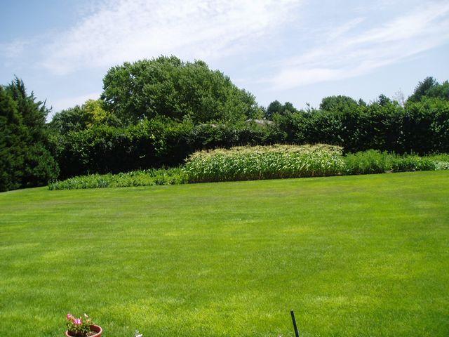 click to see full size