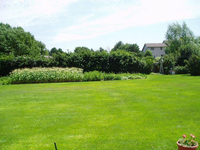 click to see full size